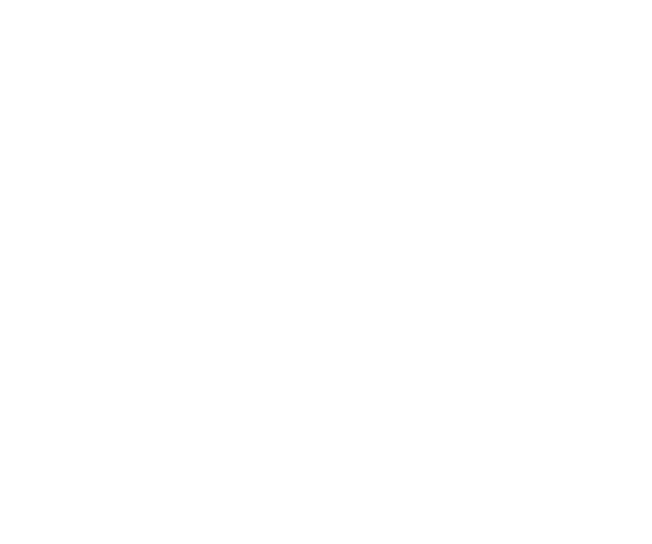 Ploysiri_logo_horizontal_white